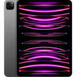 iPad Pro 11" 2022 4a gen Ricondizionato