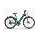 Fiido C11 Bici Elettrica da Citta